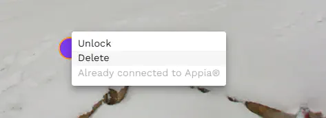 edit context menu for deleting item posting
