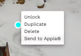 link pinpoint to appia item posting